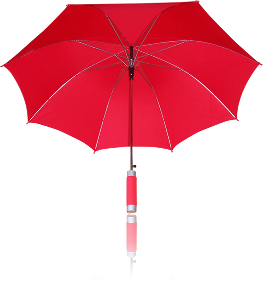Paraguas importado 780 (Vista interior)