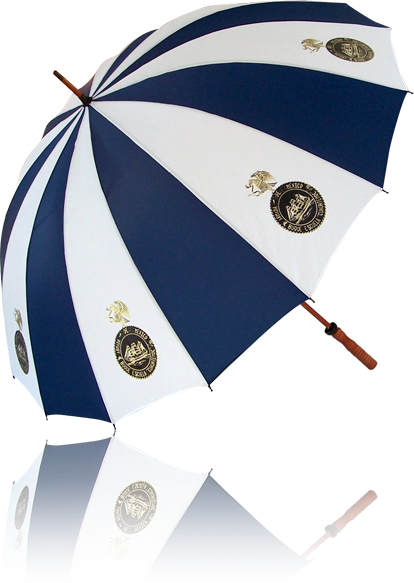 Paraguas portero 501 16 (Vista frontal)