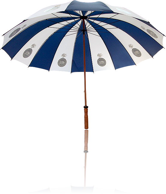 Paraguas portero 501 16 (Vista interior)
