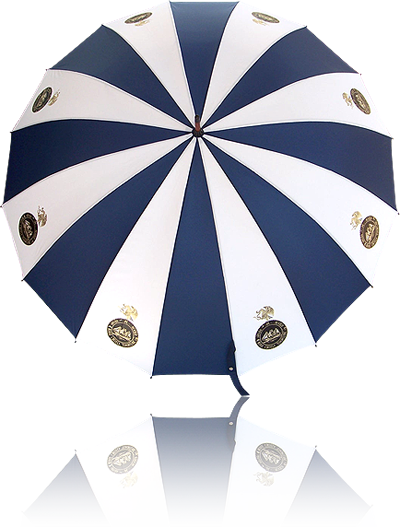 Paraguas portero 501 16 (Vista superior)